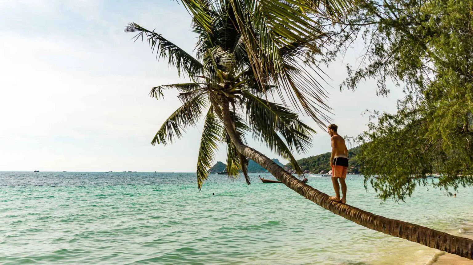 Reizen Van Bangkok Naar Koh Tao Zo Doe Je Dat Travelaar