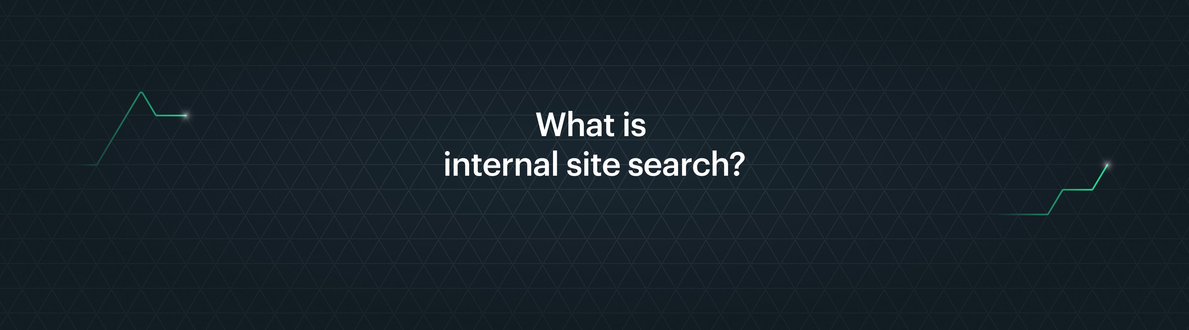 What is internal site search? | Everything you need to know! | Afosto
