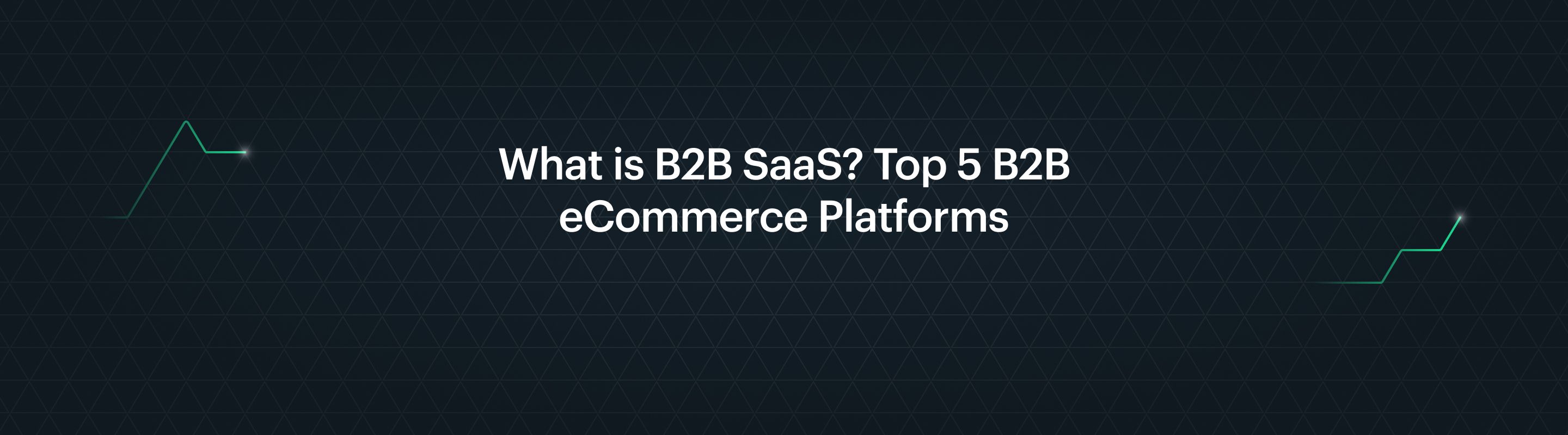 What Is B2B SaaS? The 5 Best B2B ECommerce Platforms