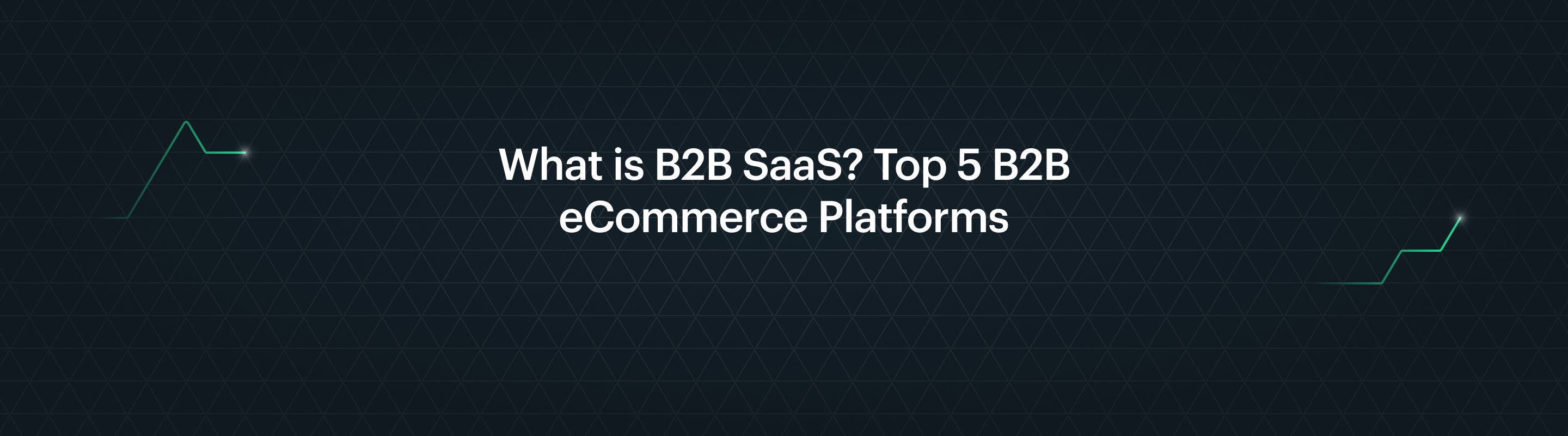 Top 5 B2B e-commerce platforms