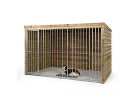 Voldux hondenkennel Beer Foto van Voldux hondenkennel Beer