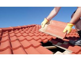 Azalp Dachziegellatten 645x602 cm* Foto von Azalp Dachziegellatten 645x602 cm*