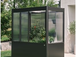 Foto van Biohort Steun voor klimplanten