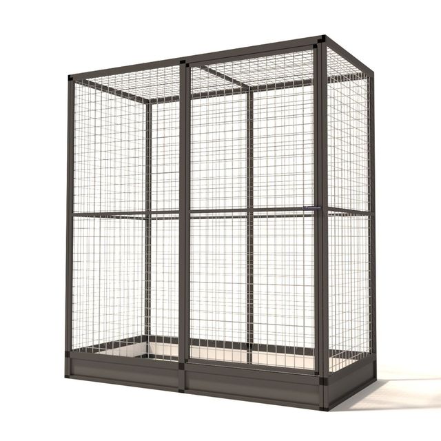 Glorenza aluminium kattenren Noa