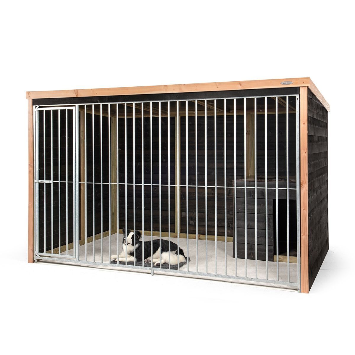 Voldux hondenkennel Bo