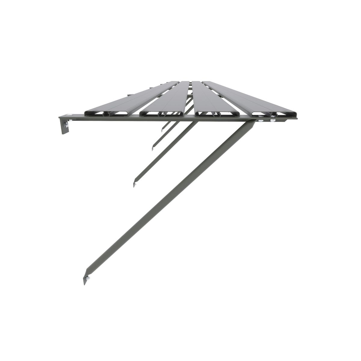 Royal Well kweekschap groengrijs