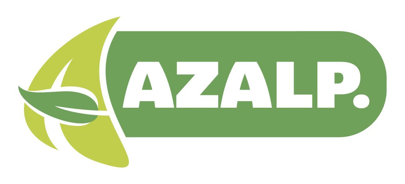 Foto van Azalp Montage verankering aan de grond (per paal - excl beton en anker)