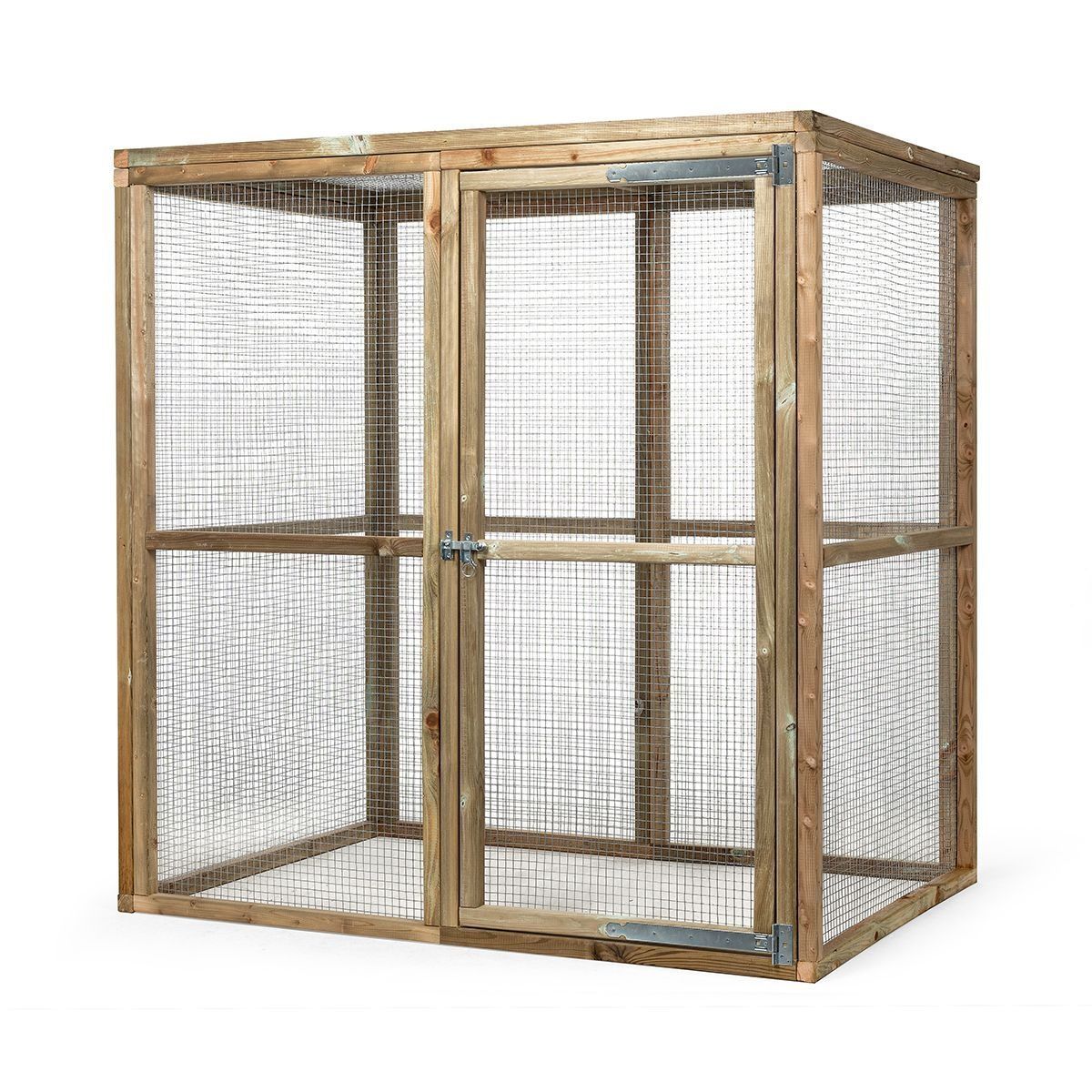 Glorenza kattenren Ruben