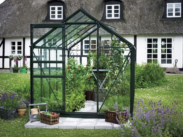 Royal Well Popular 106 Tuinkas groen
