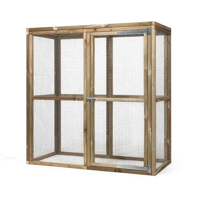 Glorenza kattenren Mats