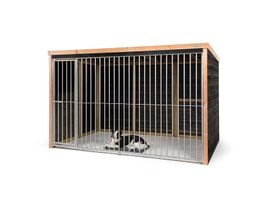 Voldux hondenkennel Dave Foto van Voldux hondenkennel Dave