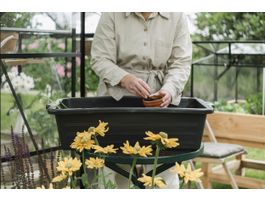 Foto van Royal Well container 40L kweekbak