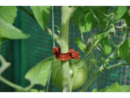 Foto van Royal Well tomatenclips set (20)