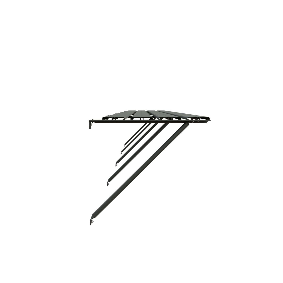 Royal Well kweekschap groengrijs