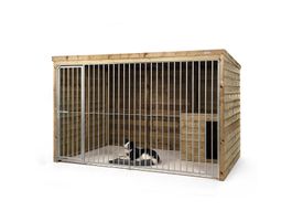 Voldux hondenkennel Max Foto van Voldux hondenkennel Max