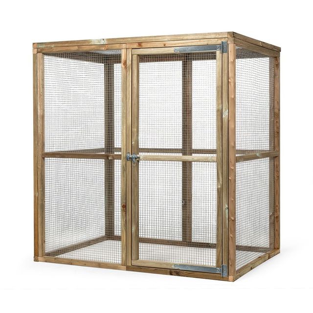 Glorenza volière Ruben