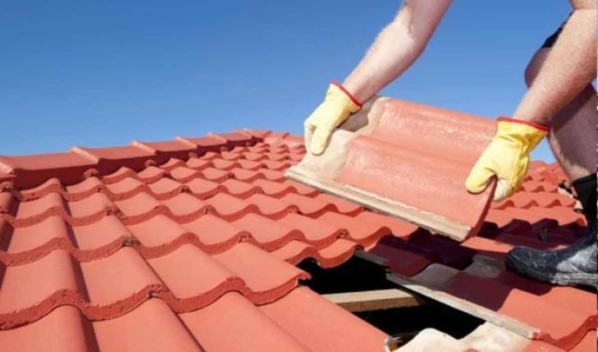 Azalp Panlatten 395x602 cm*