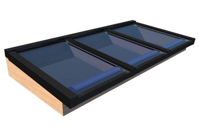 Pext douglas lichtstraat lessenaarsdak - zwart