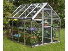 Palram – Canopia Harmony Gewächshaus Foto von Palram – Canopia Harmony Gewächshaus