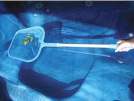 Life Extenda Spa Skim - oppervlakte schepnet Foto van Life Extenda Spa Skim - oppervlakte schepnet