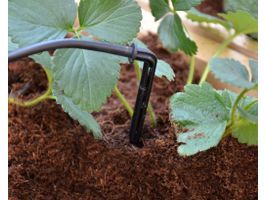 Palram – Canopia Bewässerungsset Foto von Palram – Canopia Bewässerungsset