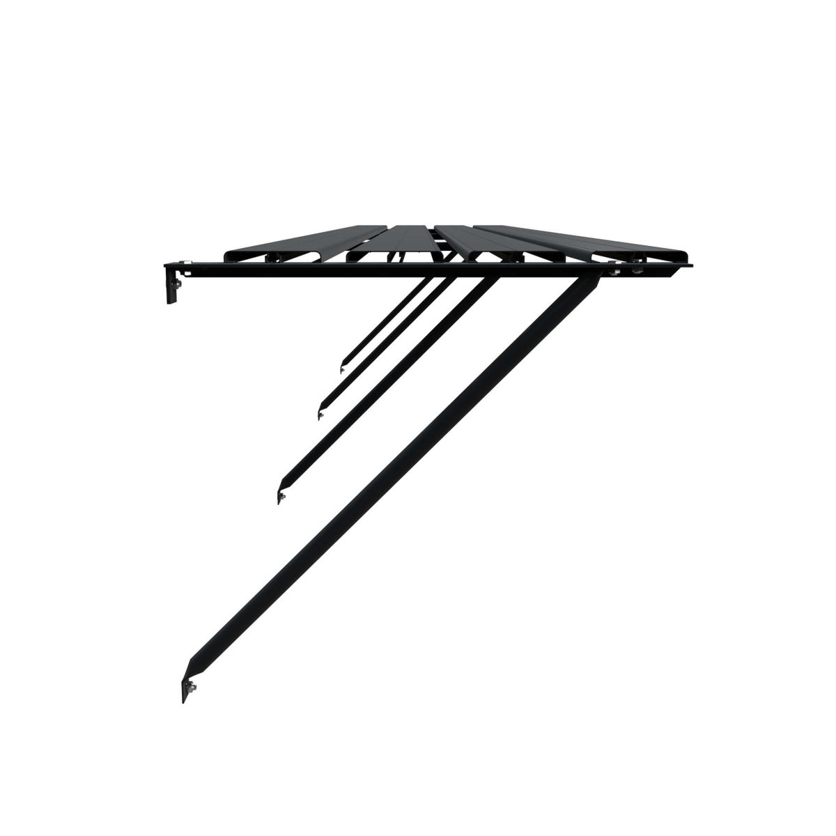 Royal Well kweekschap zwart