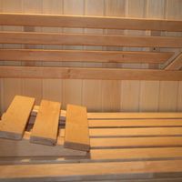 Foto van Azalp Sauna Hoofdsteun Elzen