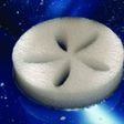 Foto van Life Spa Disc