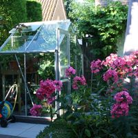 Foto van Royal Well Hobbykas 46 Popular veiligheidsglas