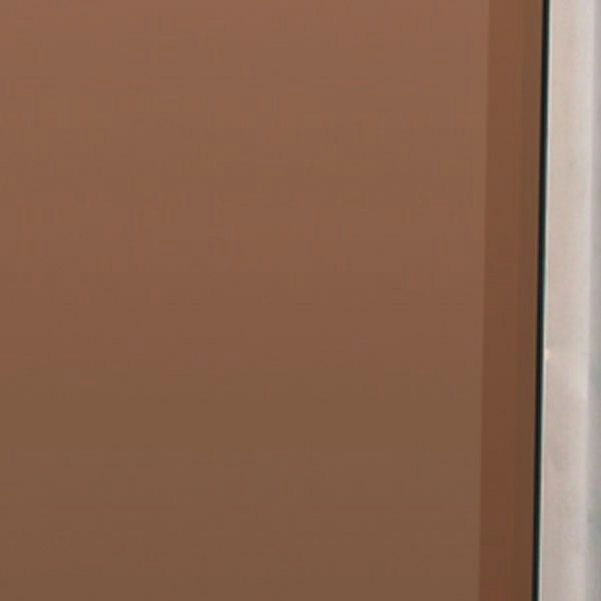 Foto van Hot Orange Meerprijs brons glas ipv helder categorie 1