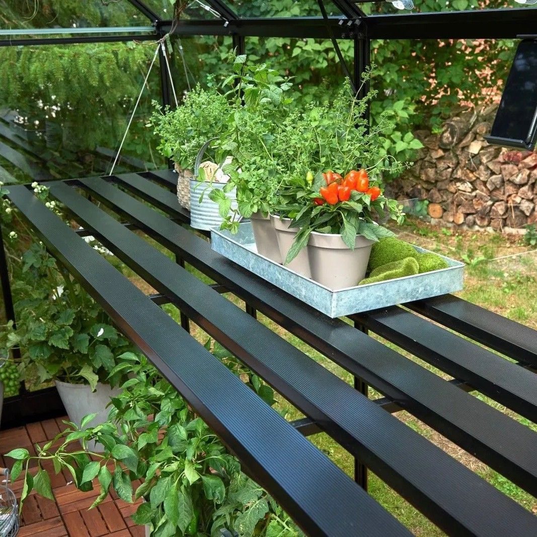 Foto van Royal Well kweekschap geintegreerd zwart