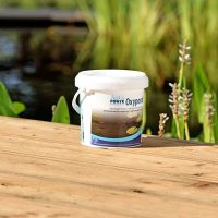 Foto der AquaForte Oxypond Gebinde Anti-Algen-Mittel