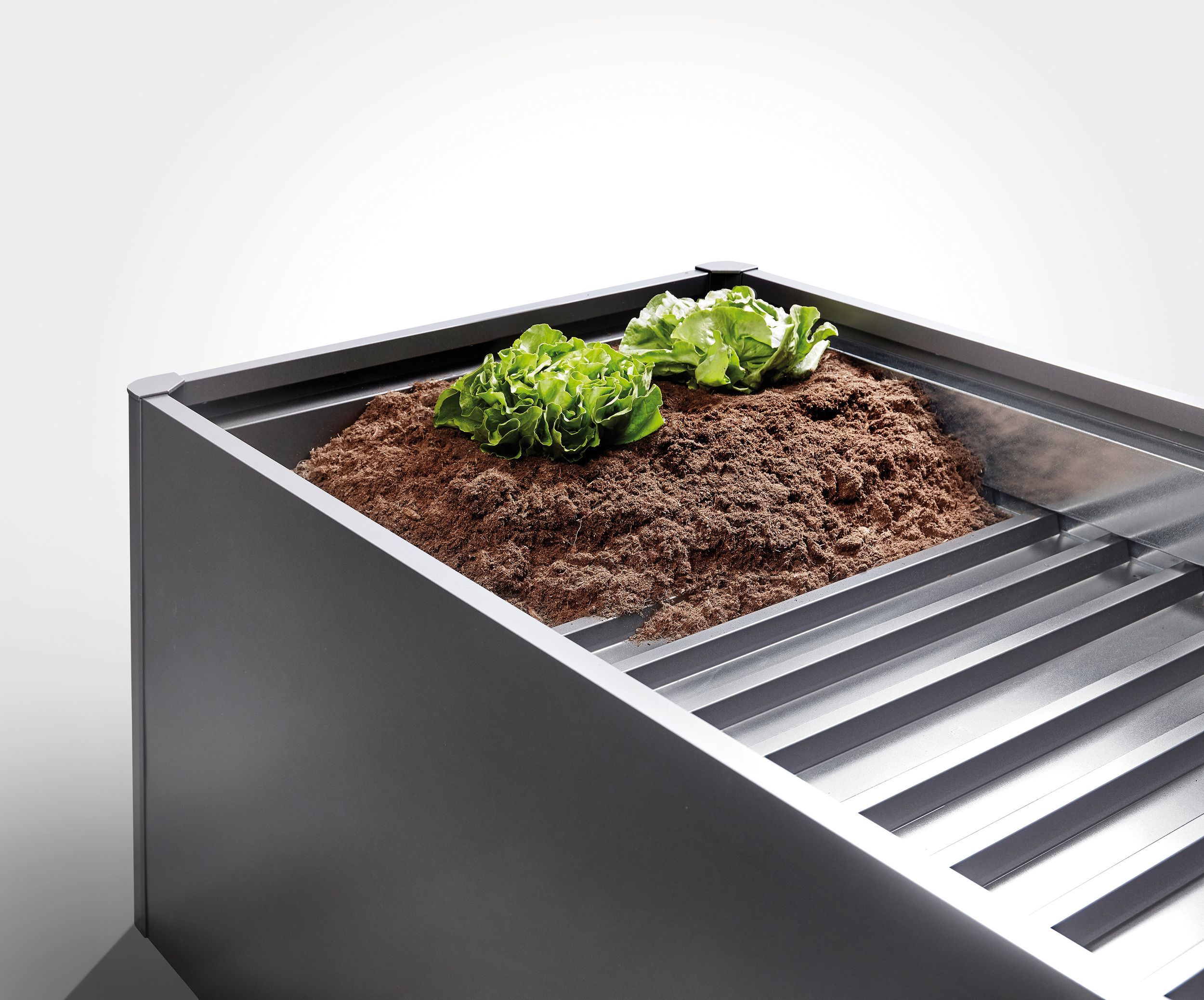 Foto van Biohort Tussenbodem Florentina