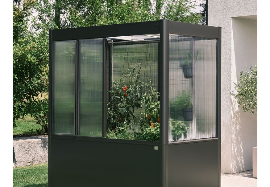 Foto van Biohort Steun voor klimplanten