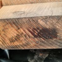Foto van GrandiWood Design Demi Overkapping 2e KANS