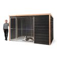 Foto van Voldux - Hondenkennel Bas
