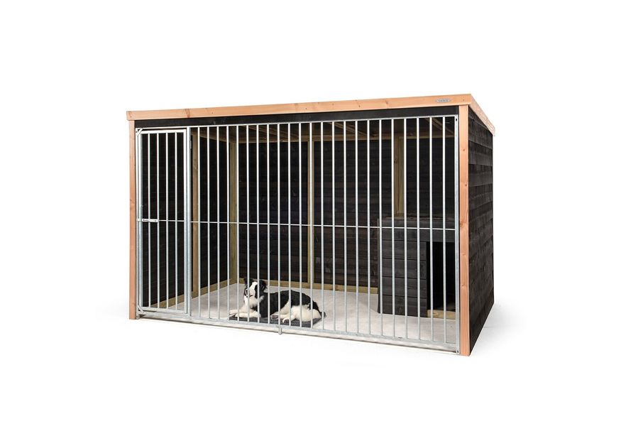 Voldux - Hondenkennel Bo Foto van Voldux - Hondenkennel Bo