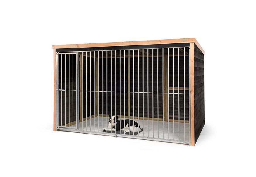 Voldux - Hondenkennel Dave Foto van Voldux - Hondenkennel Dave