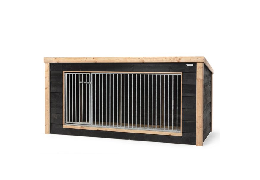 Voldux - Hondenkennel Reno Foto van Voldux - Hondenkennel Reno