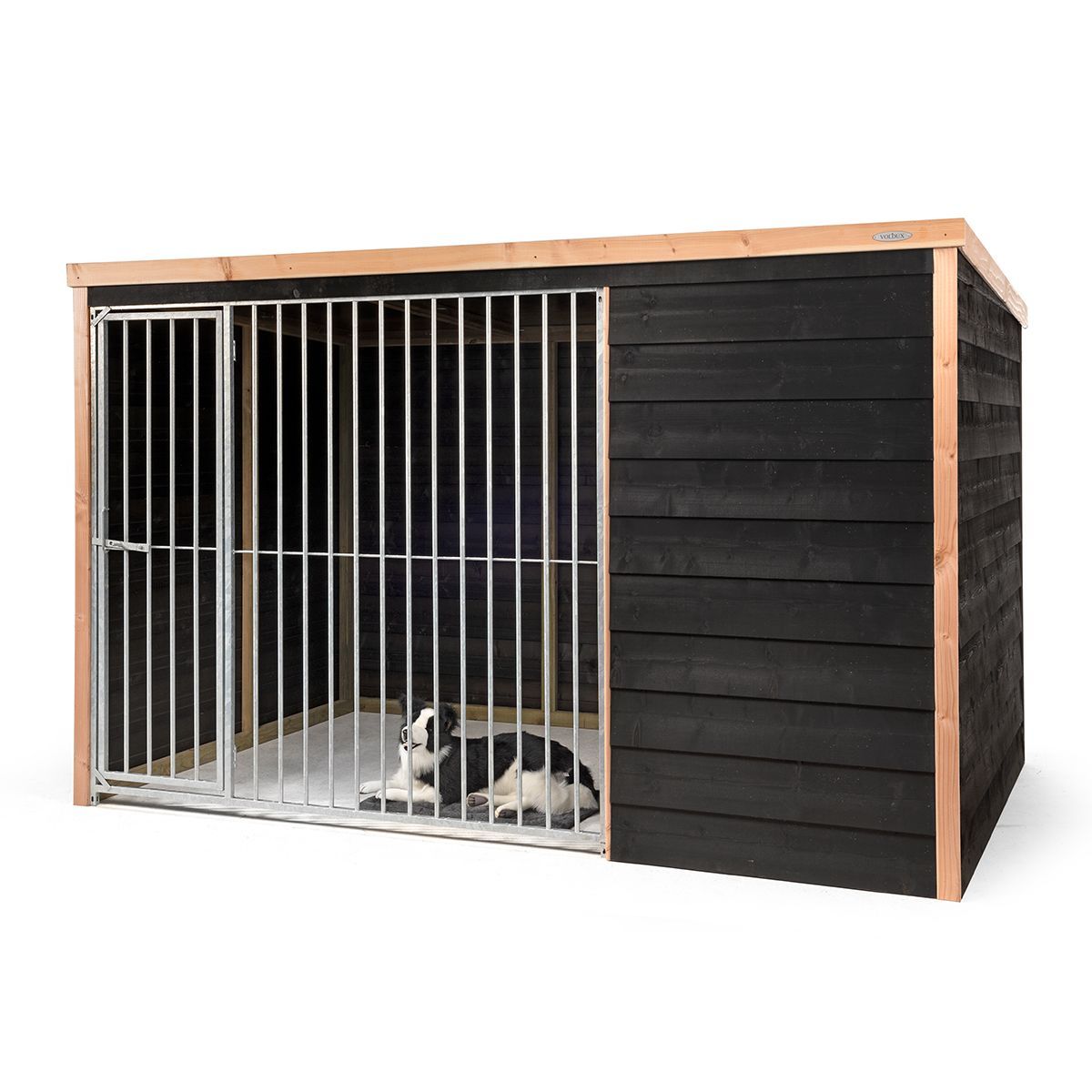 Foto van Voldux hondenkennel Rex