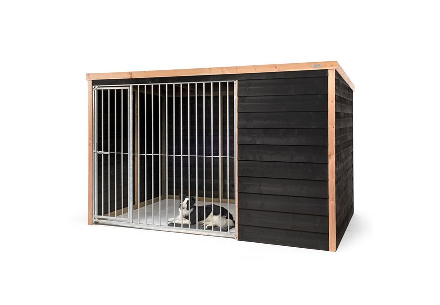 Voldux - Hondenkennel Rex Foto van Voldux - Hondenkennel Rex