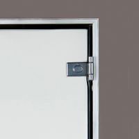 Foto der Ilogreen Dampfbadtür Satin 79x209 cm 8 mm