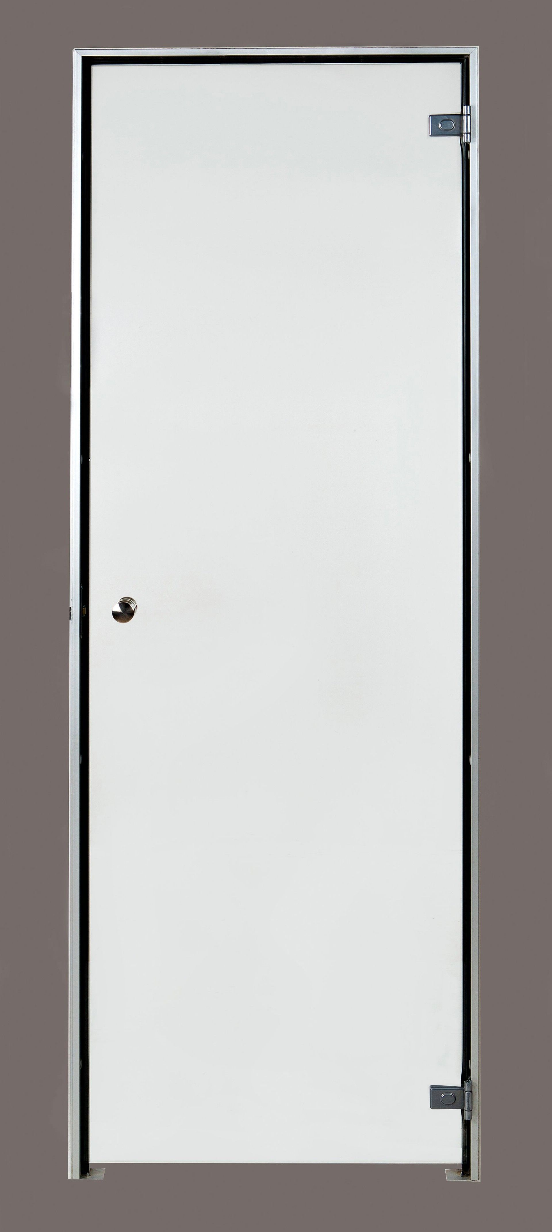 Foto der Ilogreen Dampfbadtür Satin 79x199 cm 8 mm