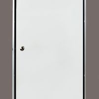 Foto der Ilogreen Dampfbadtür Satin 79x209 cm 8 mm