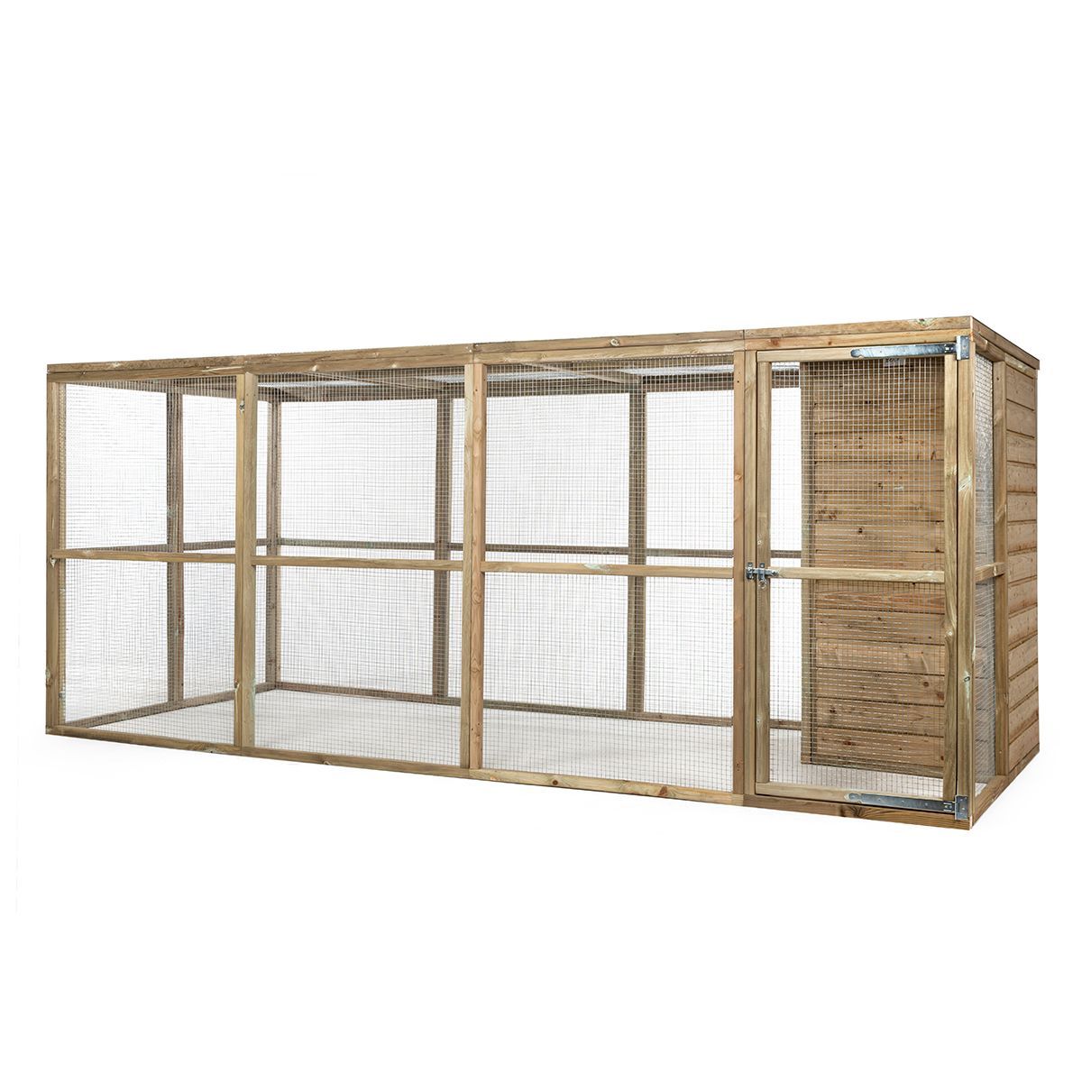 Foto van Glorenza kippenren Iris