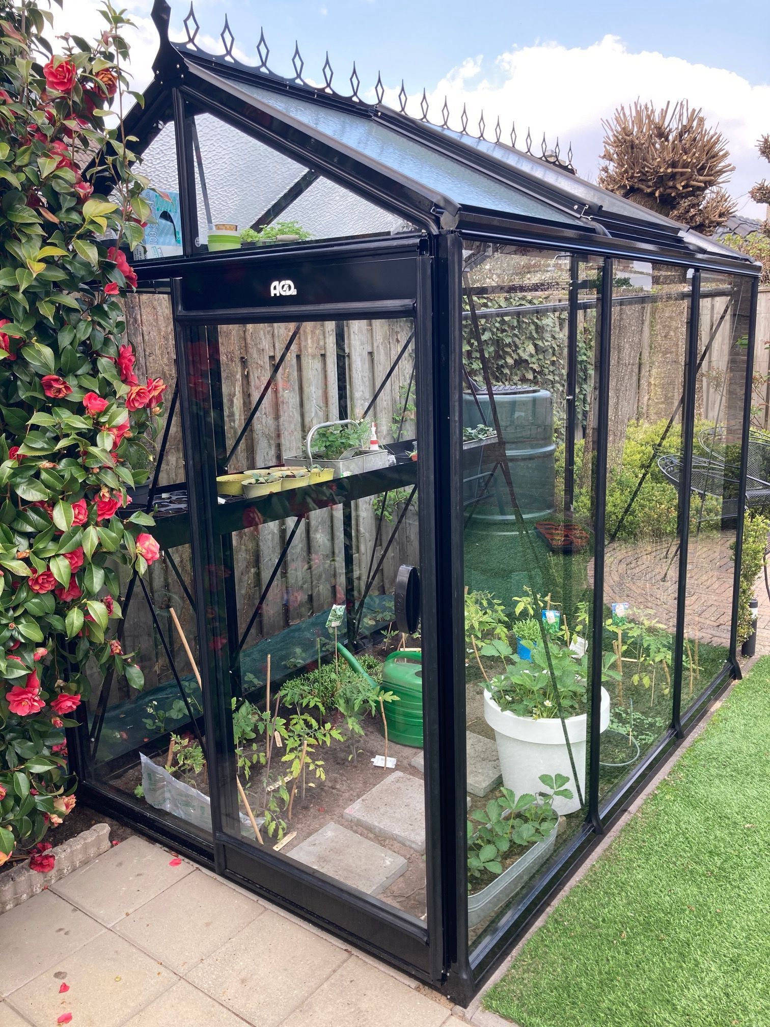 Foto van ACD Prestige Piccolo 03 Blackline