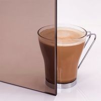 Foto van Hot Orange Saunadeur Black - helder brons glas