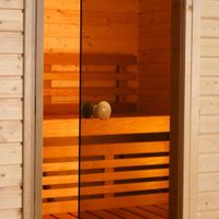 Foto van Ilogreen Saunadeur Trend - helder brons glas