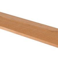 Foto der WoodAcademy Douglas Seiten-/Rückwand 300 cm (133558)*