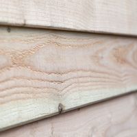 Foto der WoodAcademy Douglas Seiten-/Rückwand 300 cm (133558)*